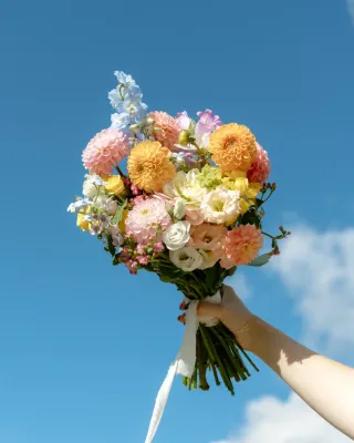 Svatba na místě Chmelnice Luka (Bohemian Weddings), příspěvek @bohemian_weddings z roku 2026