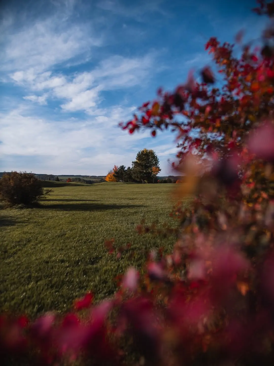 Svatební místo – Resort Darovanský dvůr, Břasy (2. fotografie)